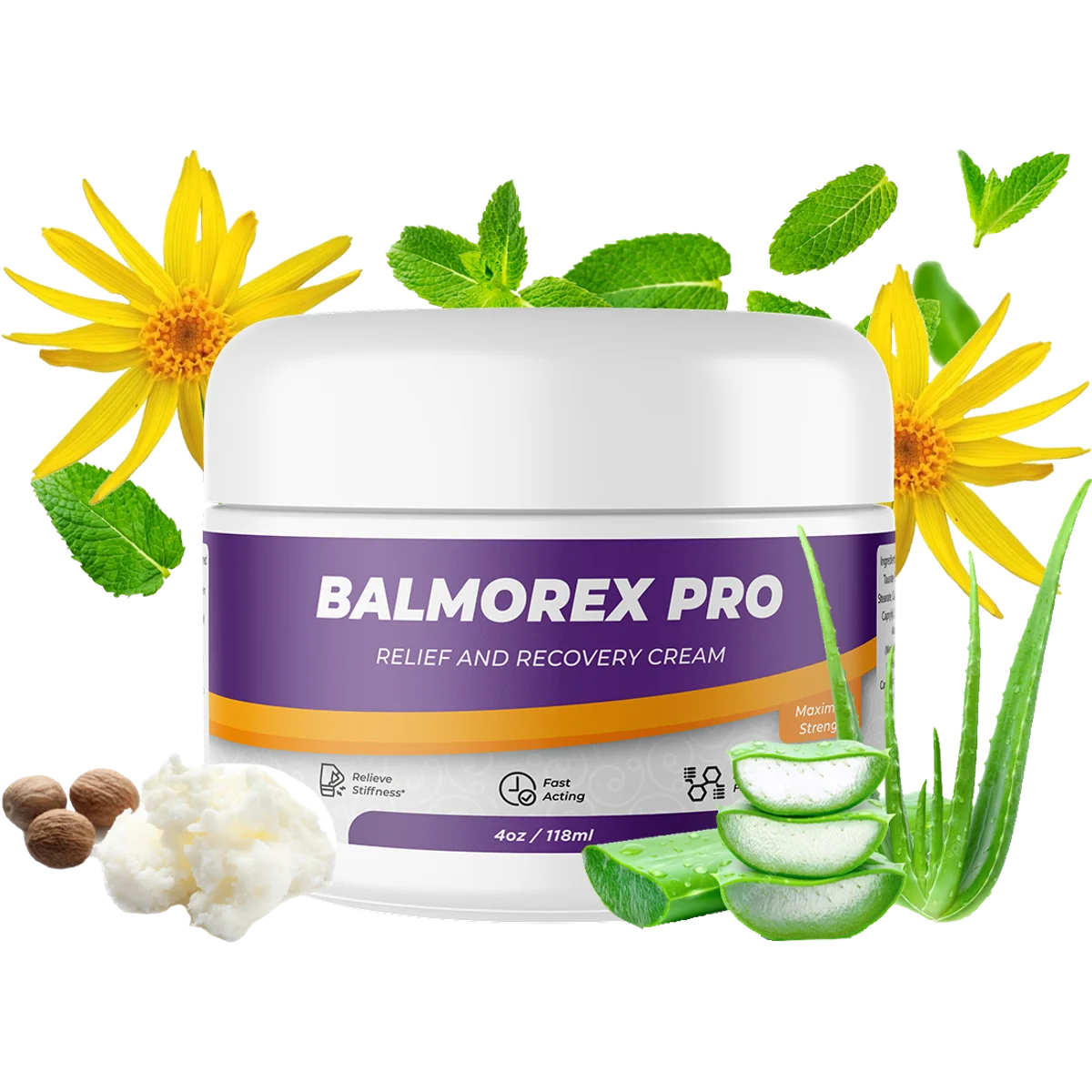 Balmorex Pro Joint & Mobility Support — Front Label